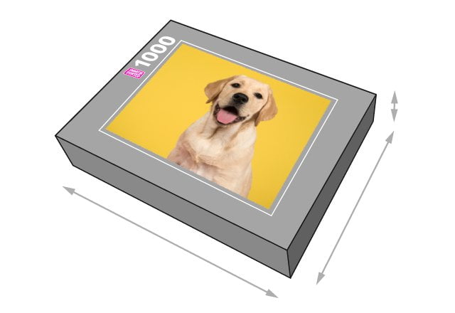 Die Schachtel für das SMART SORTED 1000 Teile Puzzle misst 37,3 x 27,3 x 6,7 cm